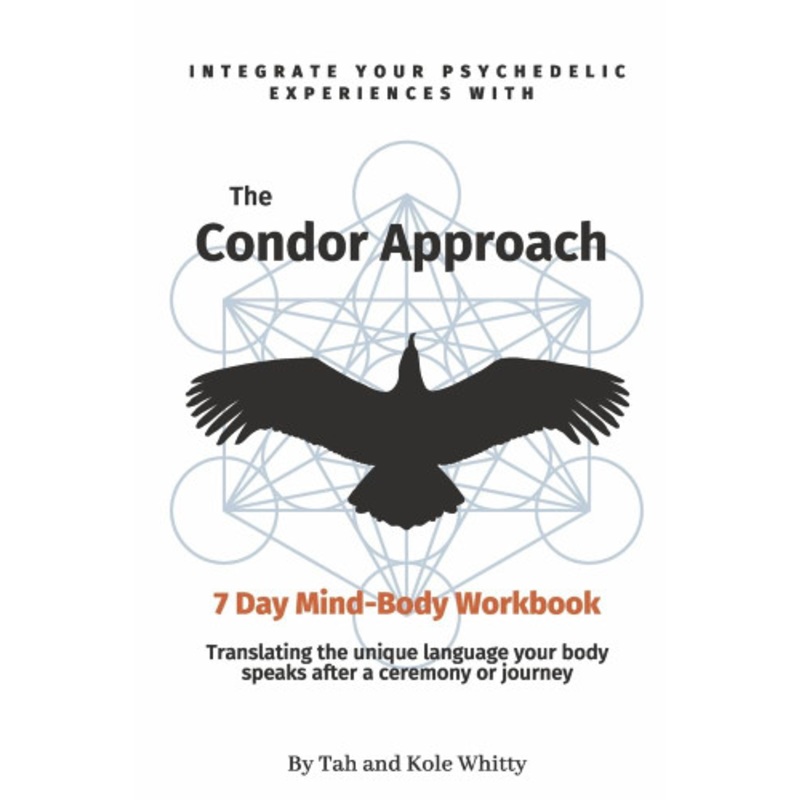 30 Days 2 Shredz: Reprogram Your Mind and Metabolism to Torch Fat Sculpt Muscle by Jay Campbell