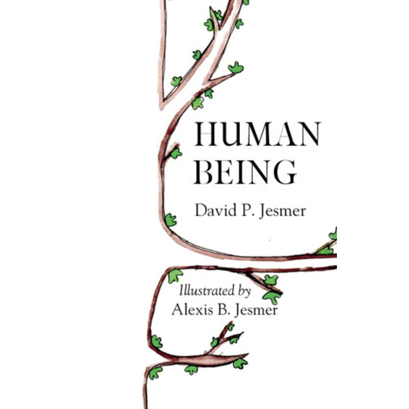 What Comes Before Mindfulness?: Effective Effort: How to Garden Your Inner Life by Ajahn Sona