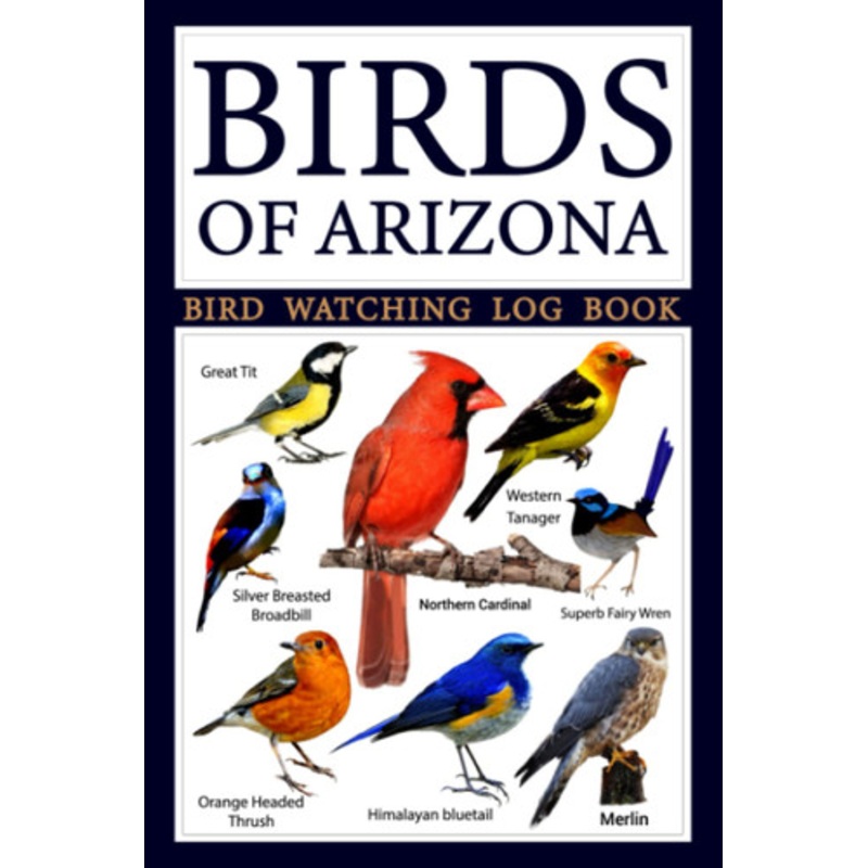 Stories Sports and Songs by Bill Schoening