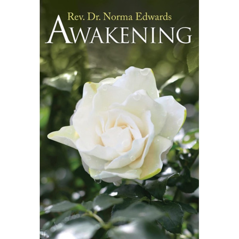 Deming's Journey to Profound Knowledge by John Willis